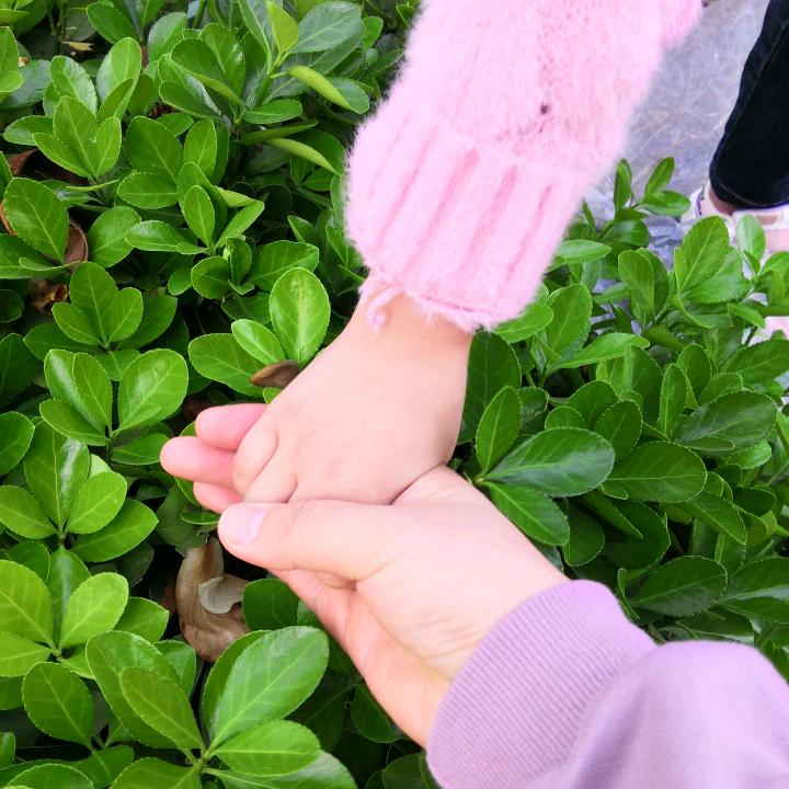辣辣木子
