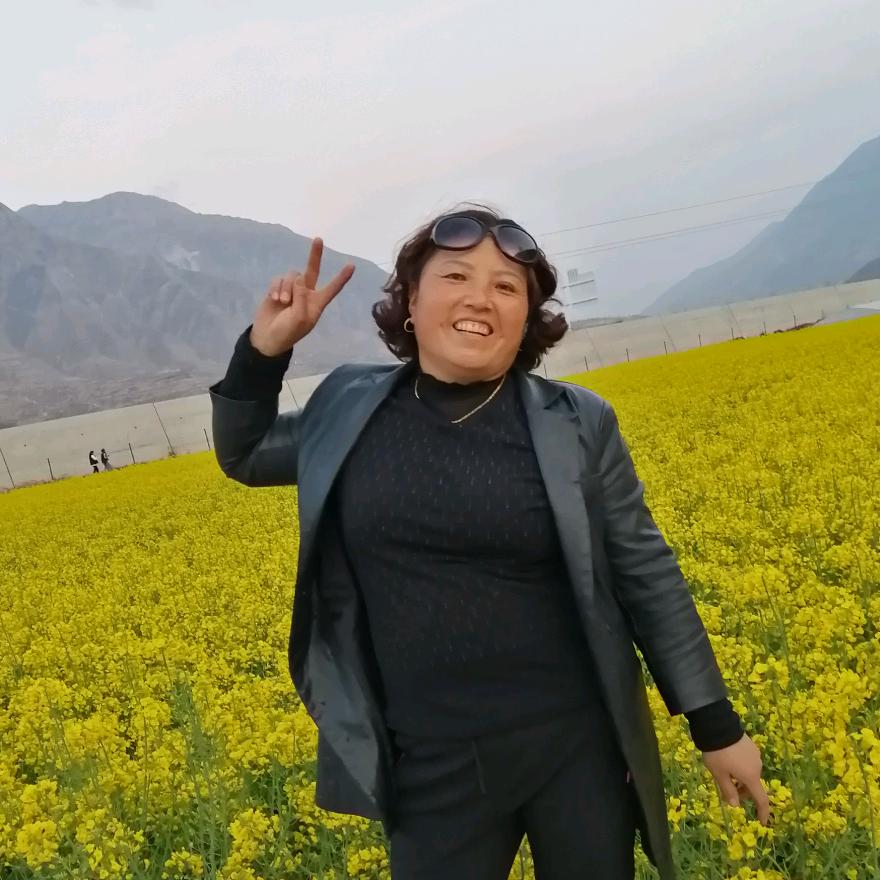 唐朝凤