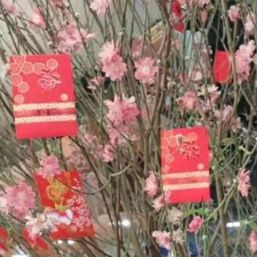 蓝色的大海