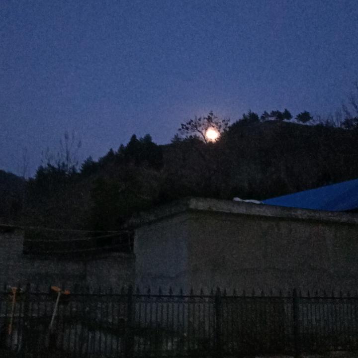冰花网上看客