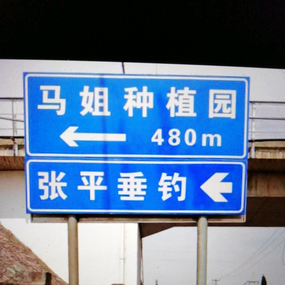 马姐种植园张平垂钓