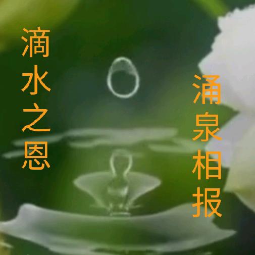 发知有道