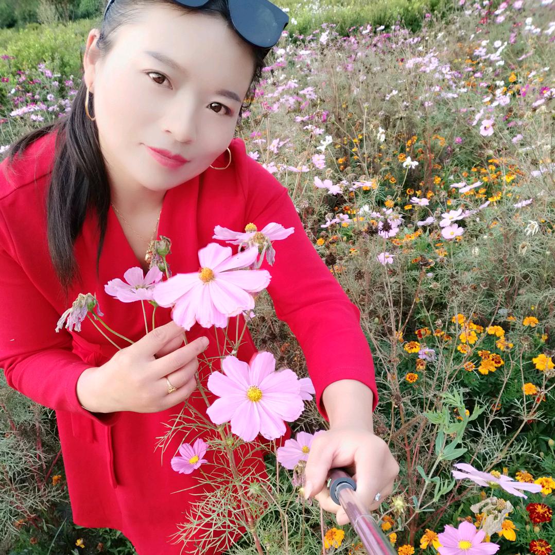 蝴蝶梦