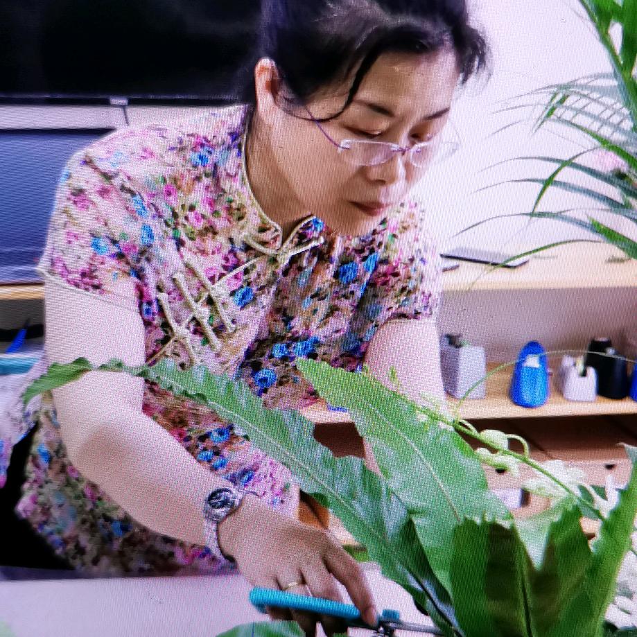 花匠 劉💐