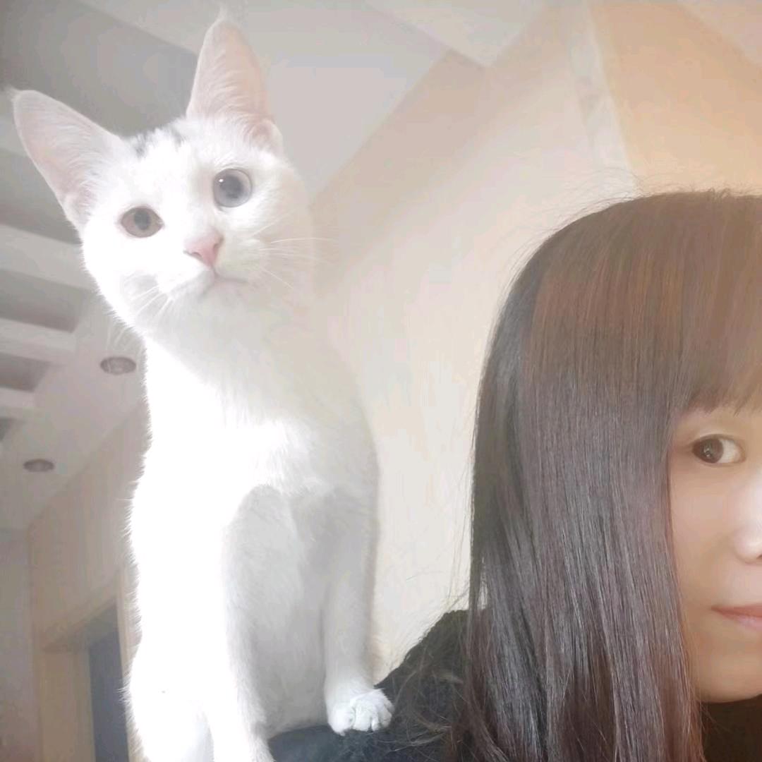 黄宝和阿狸的日常