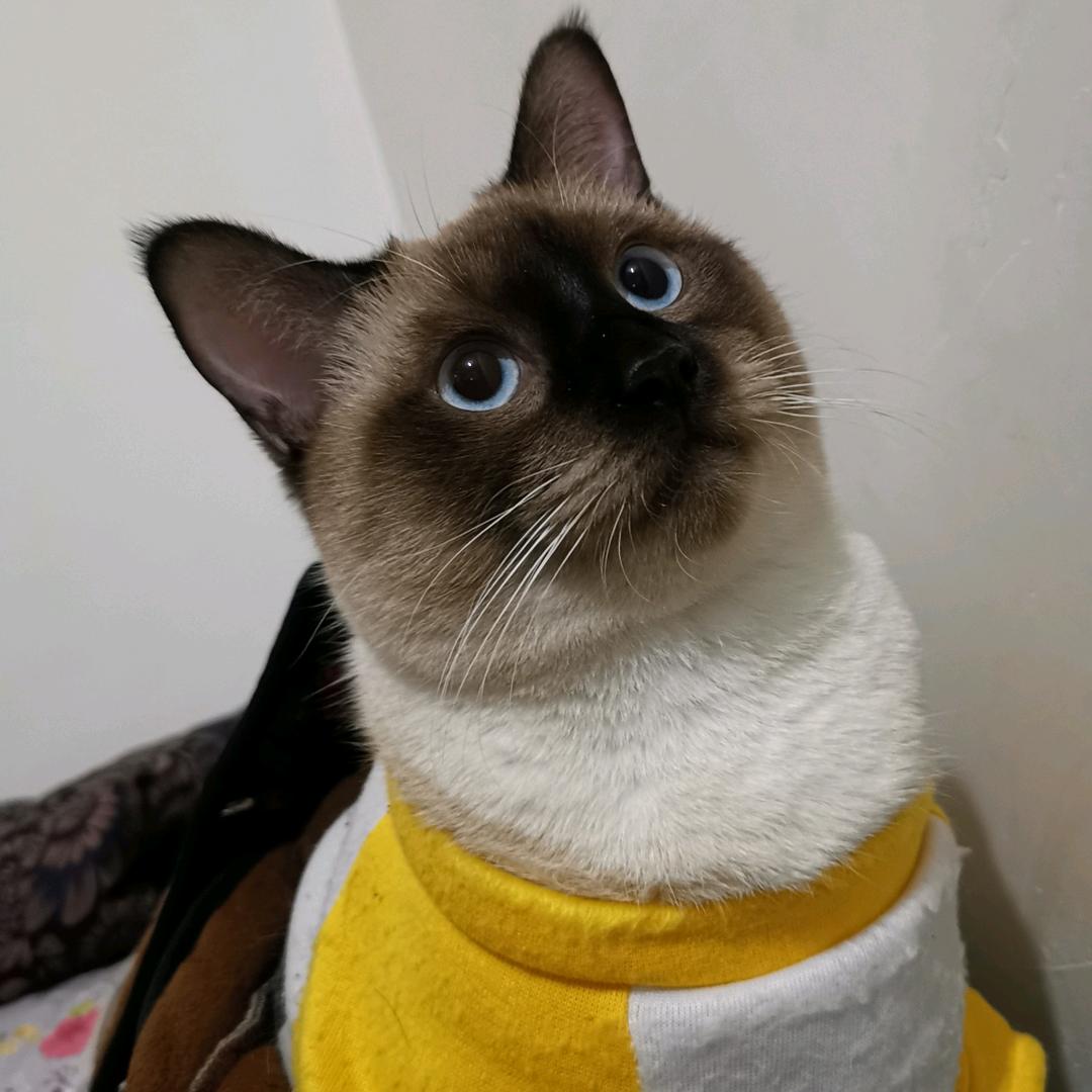 范范是个小太阳