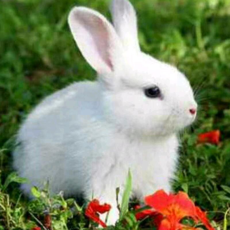 总想开心，还是开心不起来