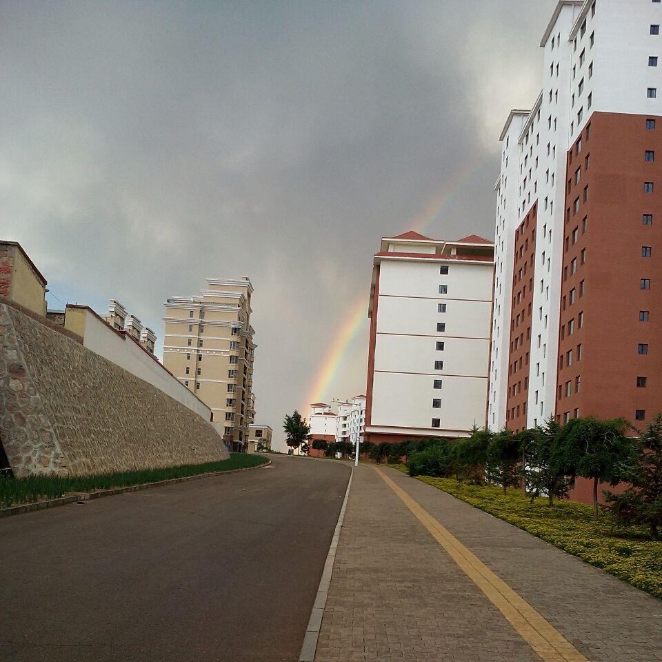 阿林