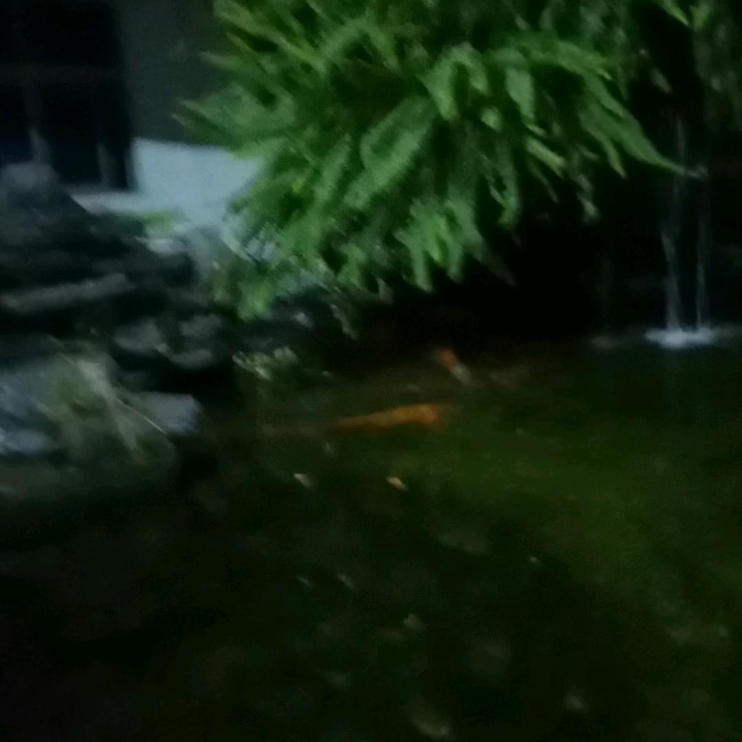 顺其自然