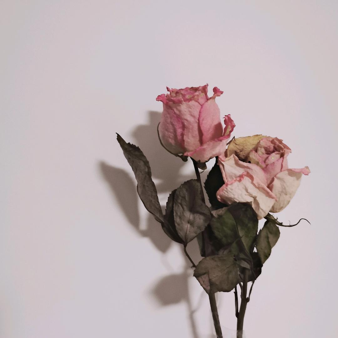 仲