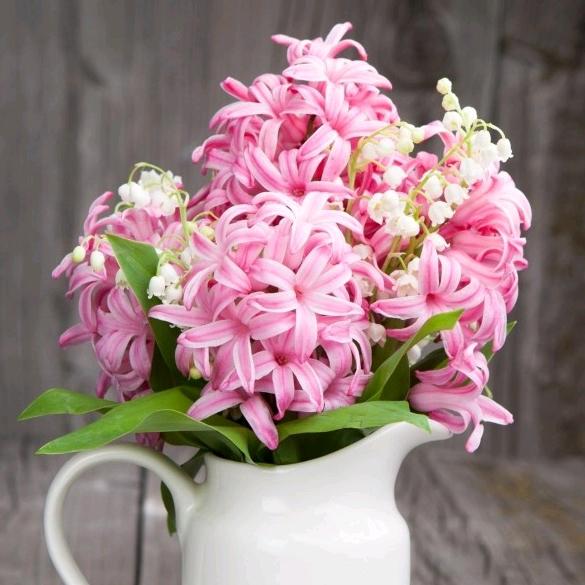 陈兰芳