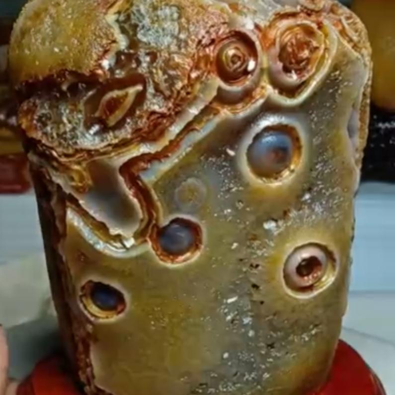 黄河原头