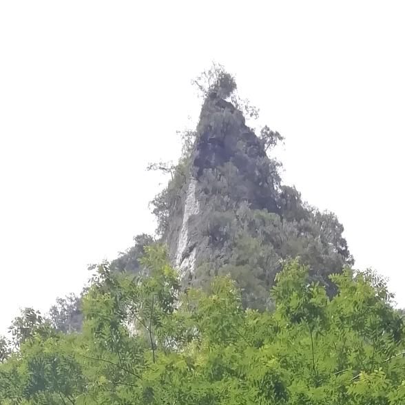 秦人秦韵
