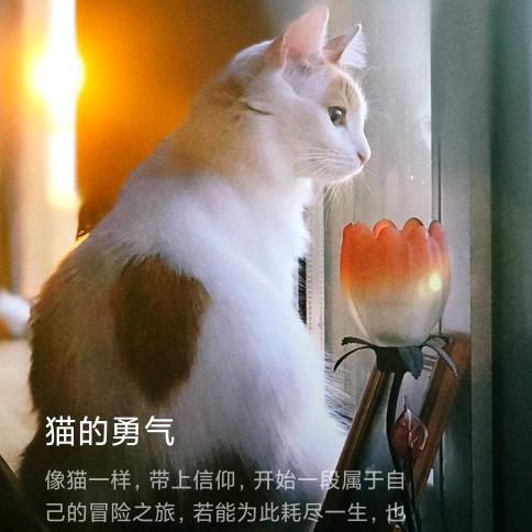 陈哥探房