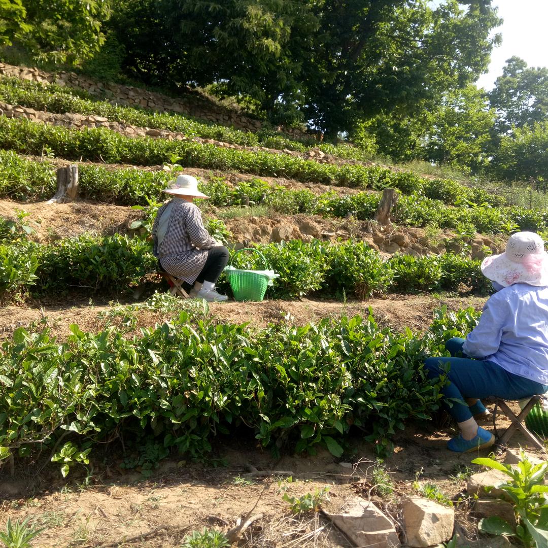 尖垛庄园（盛恒石材）