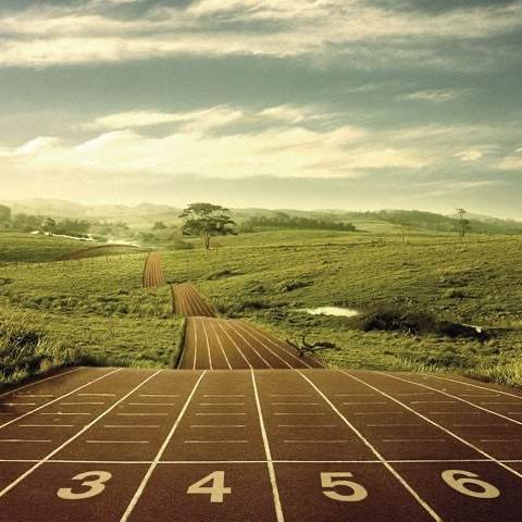 爱田径的陈老师