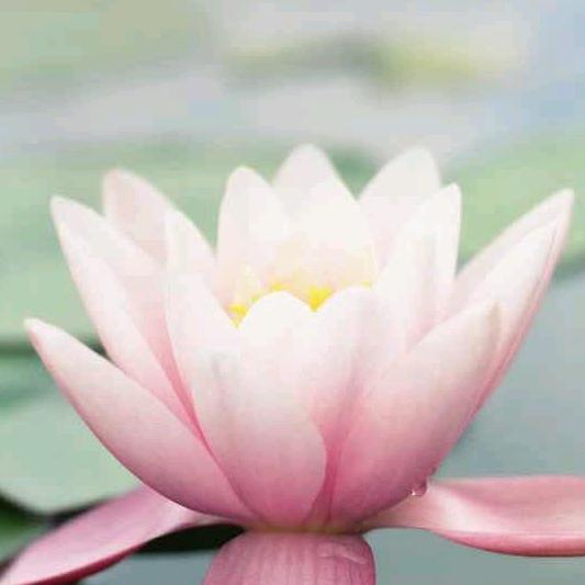 彭彭姐💕（拒绝私聊）