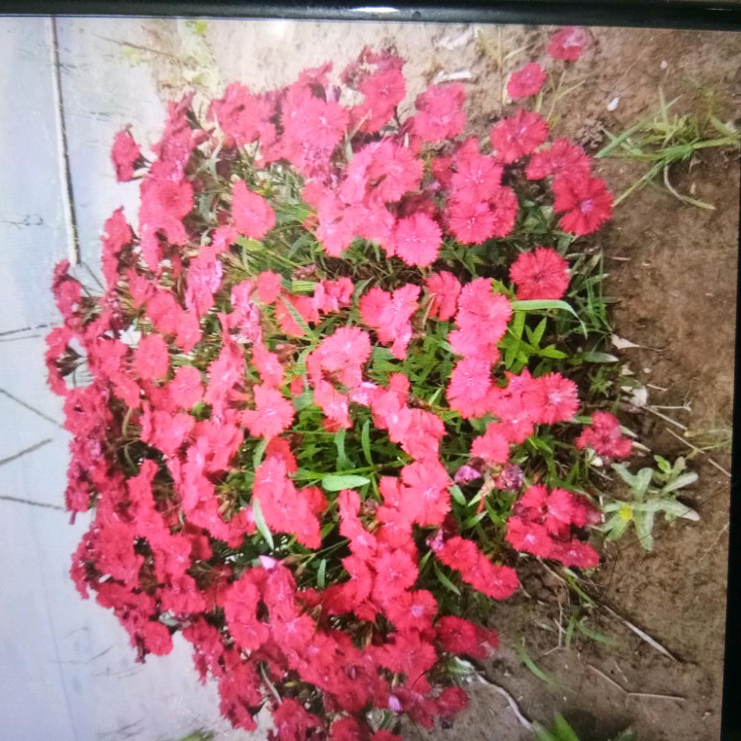 你是谁和我没关系