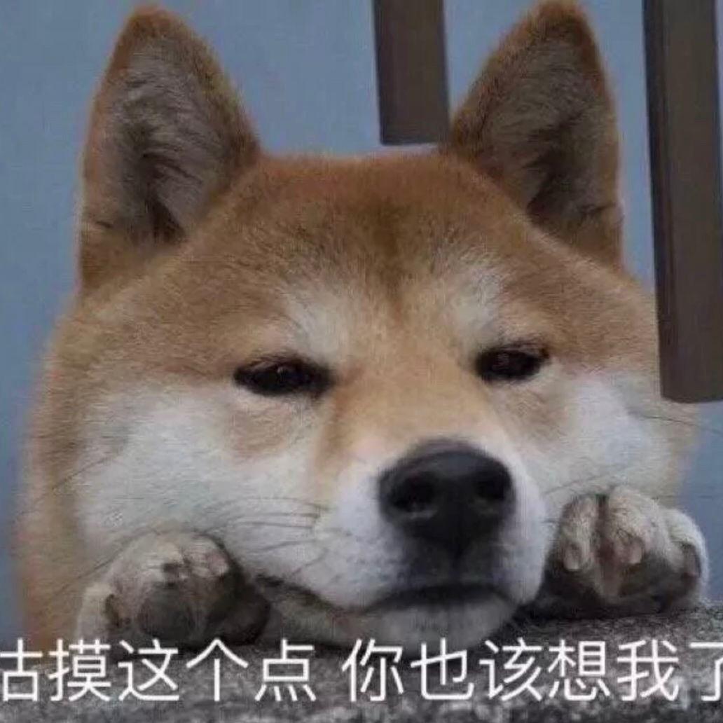 狗子