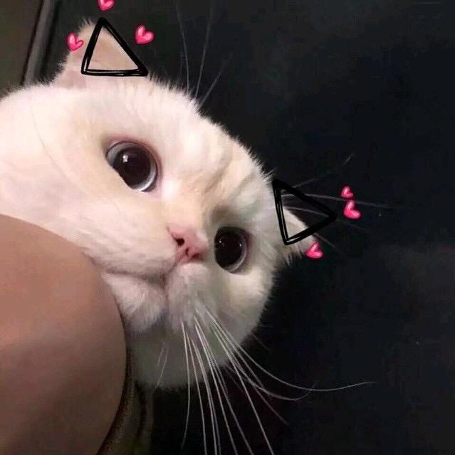 安分的九月💞