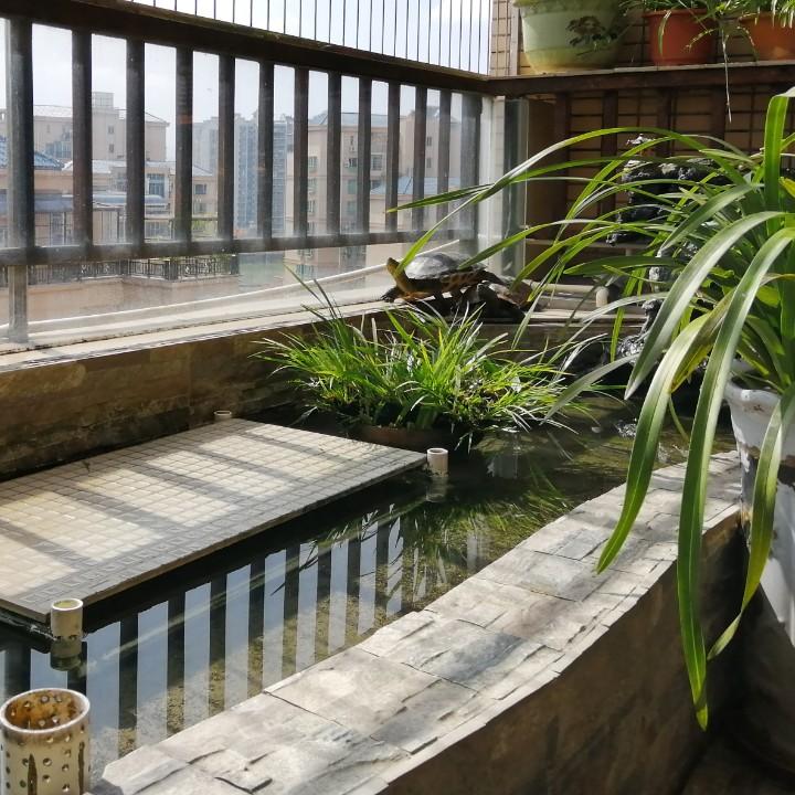 年年19岁的帅钟