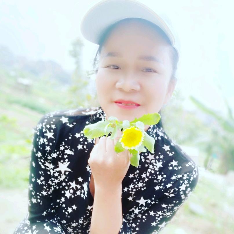 心语