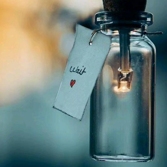 月亮之上，回赞有礼