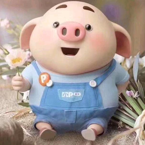 阳光🍀不迷路