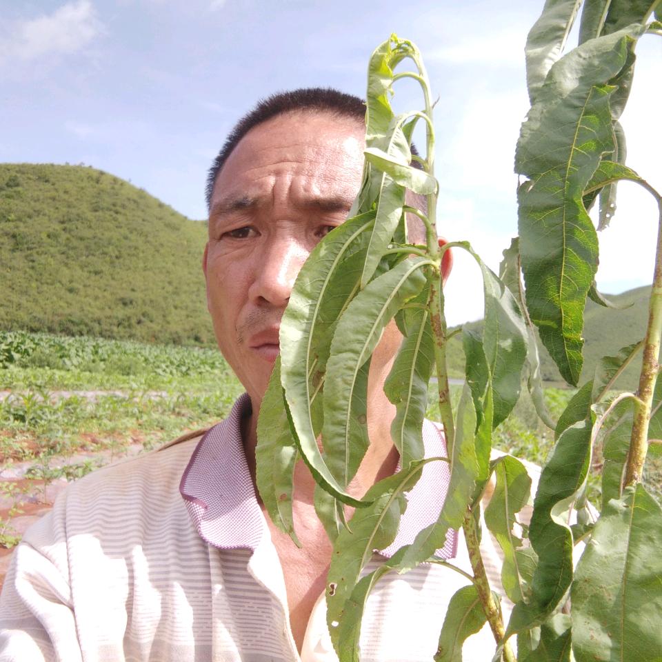 用户5353804550315