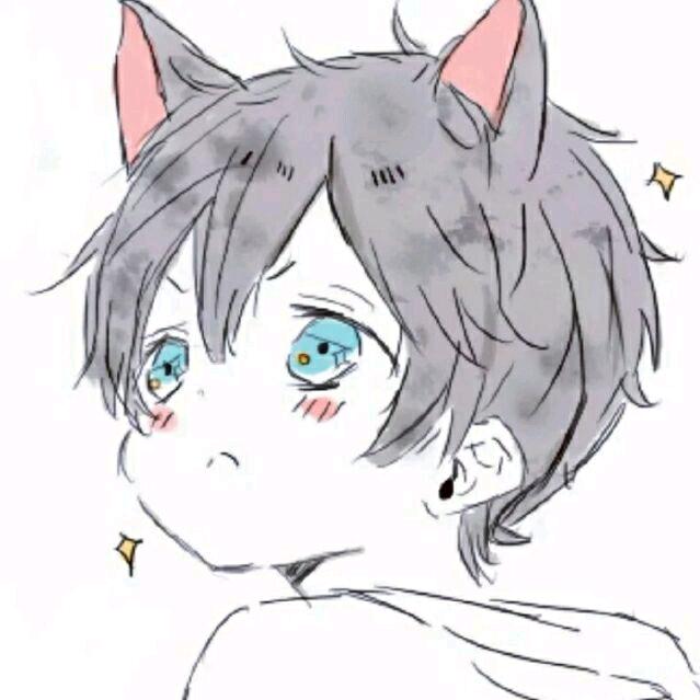 风夏