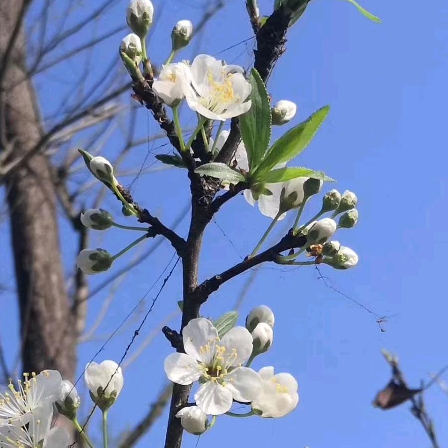 用户617889764知足常乐