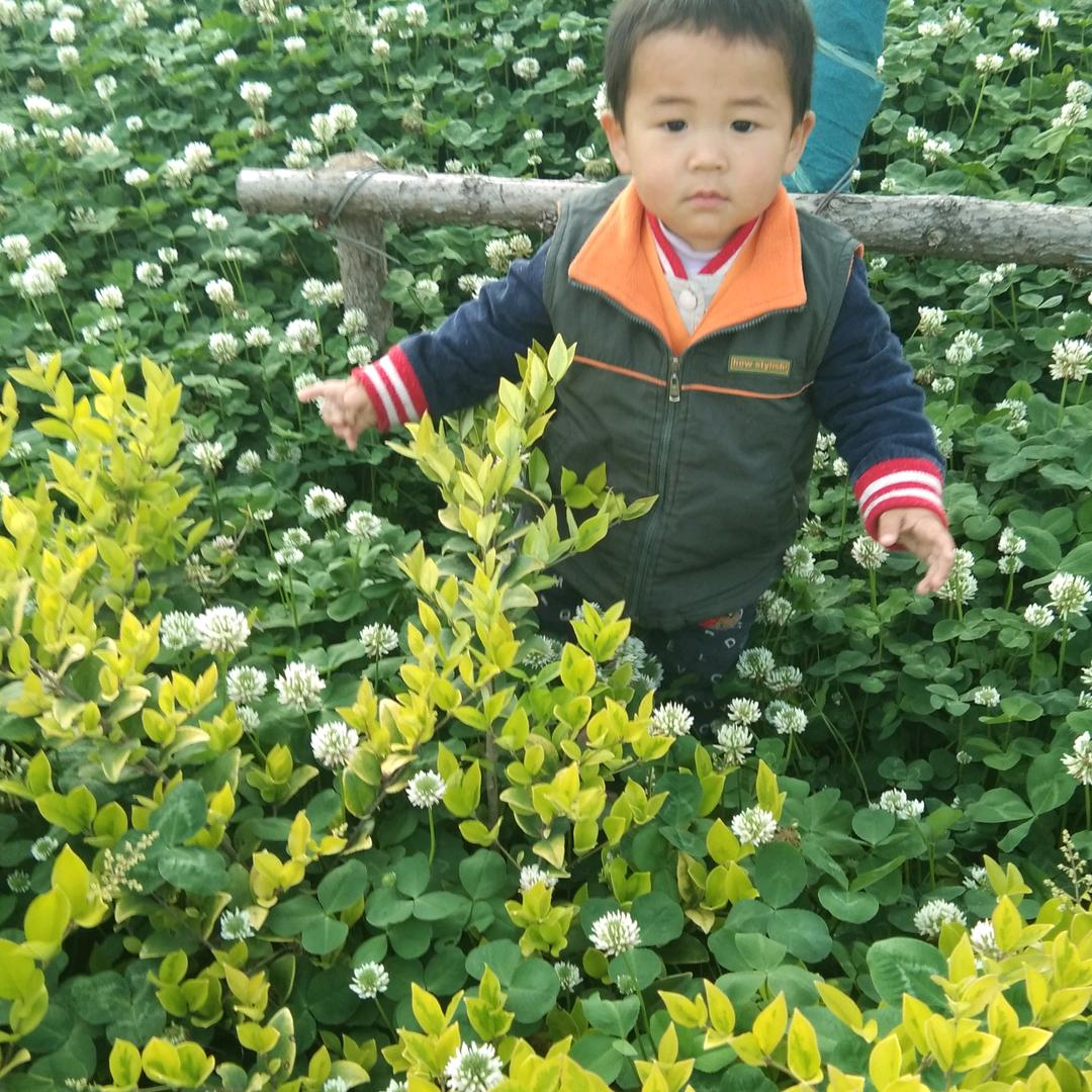 李仲娥