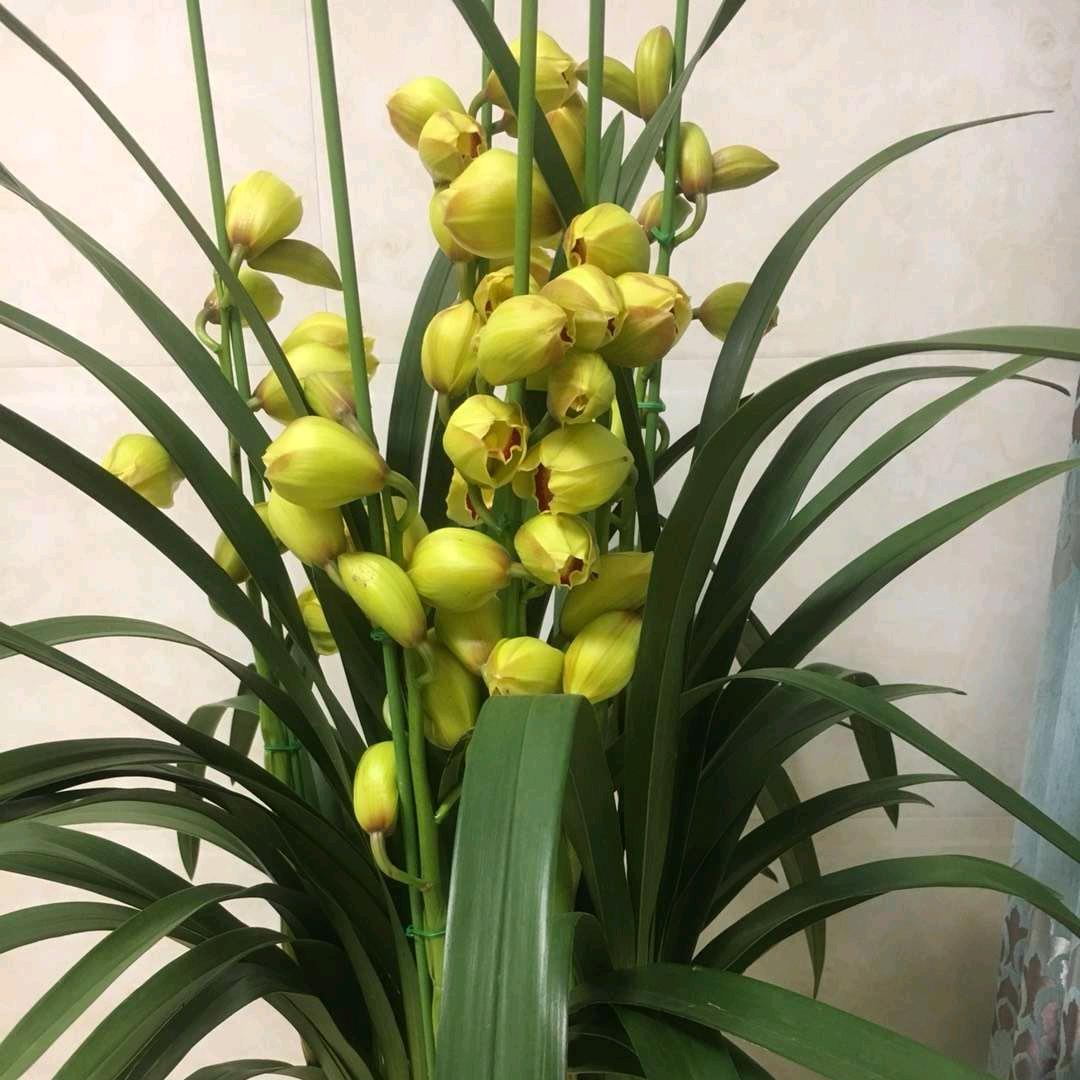 敬业装饰5D仿石漆