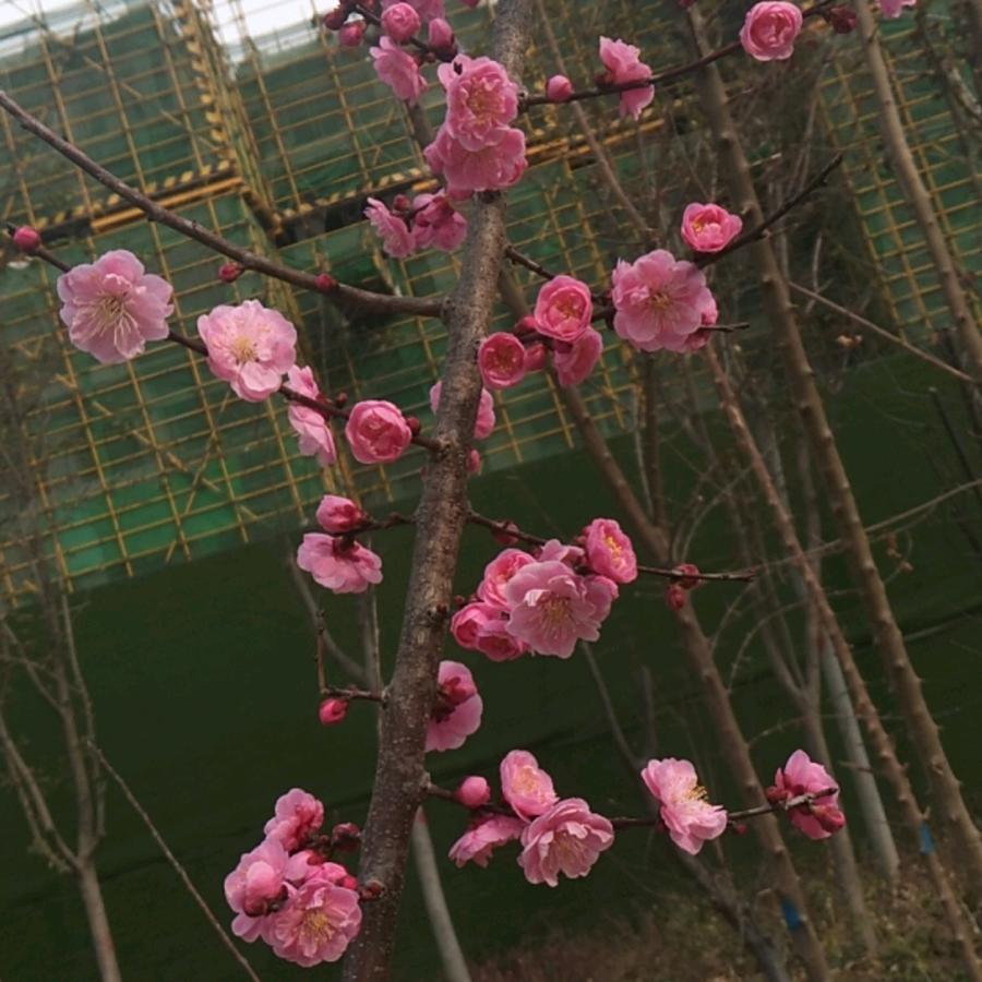 一世繁华，一生相守