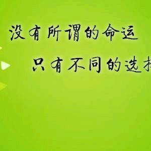 货运…狗拉拉