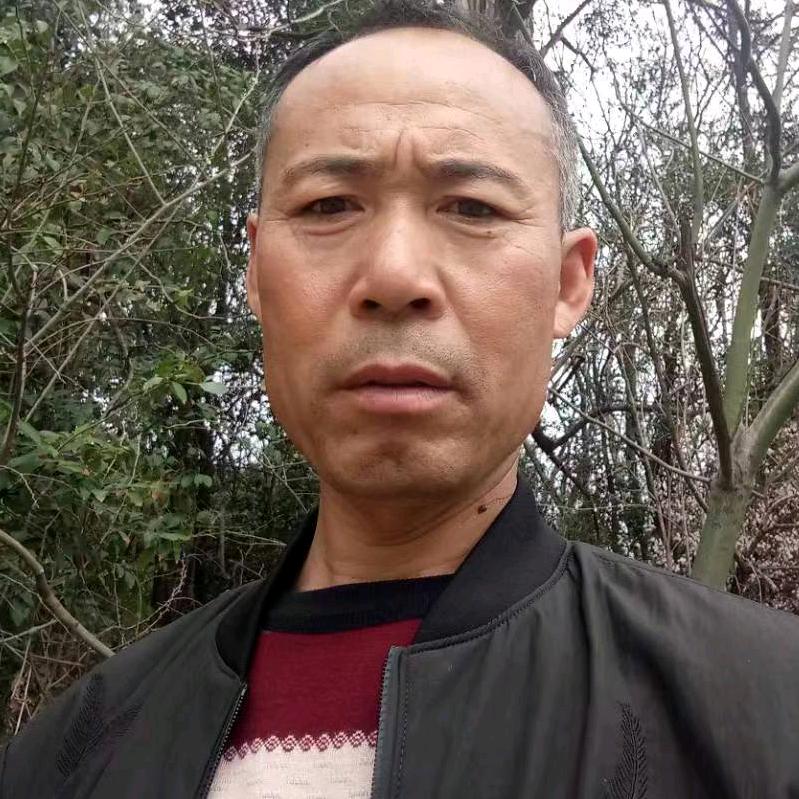 王振大量收购狗胆