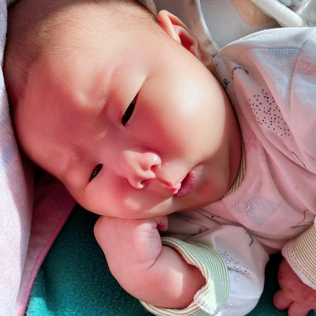 刘东凤