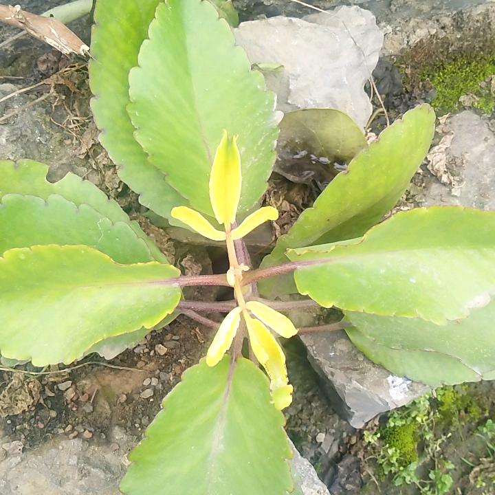 医者仁心，颈，肩，腰痛