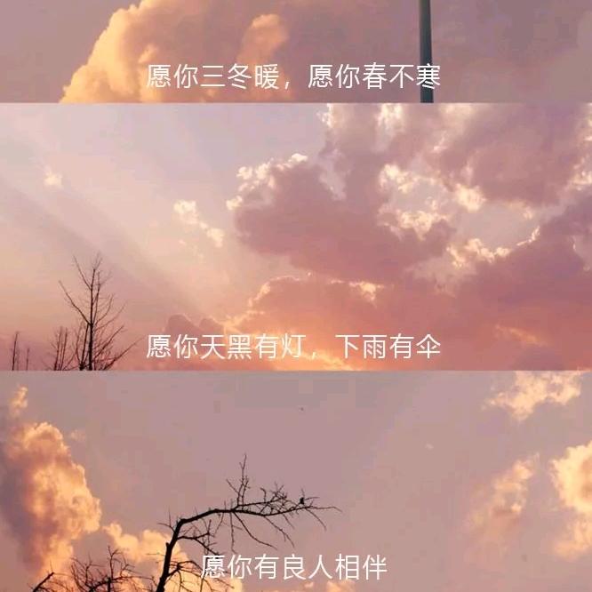 小小的太阳🌞