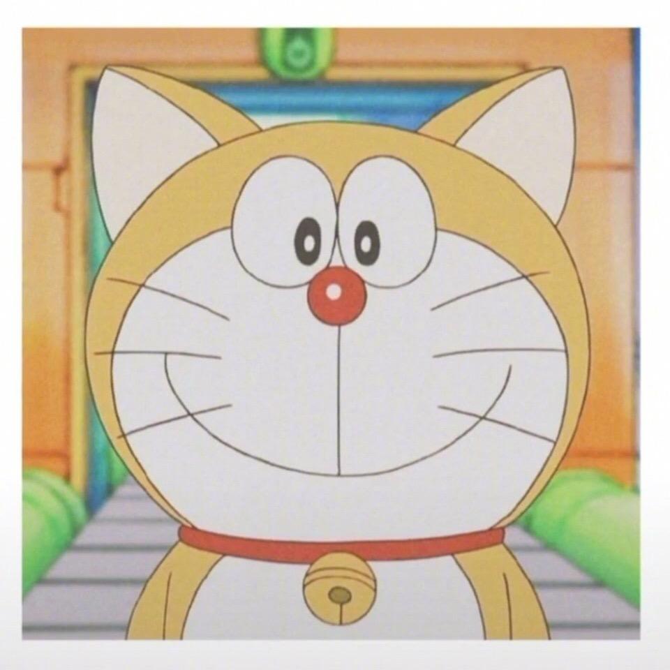 秦懵懵