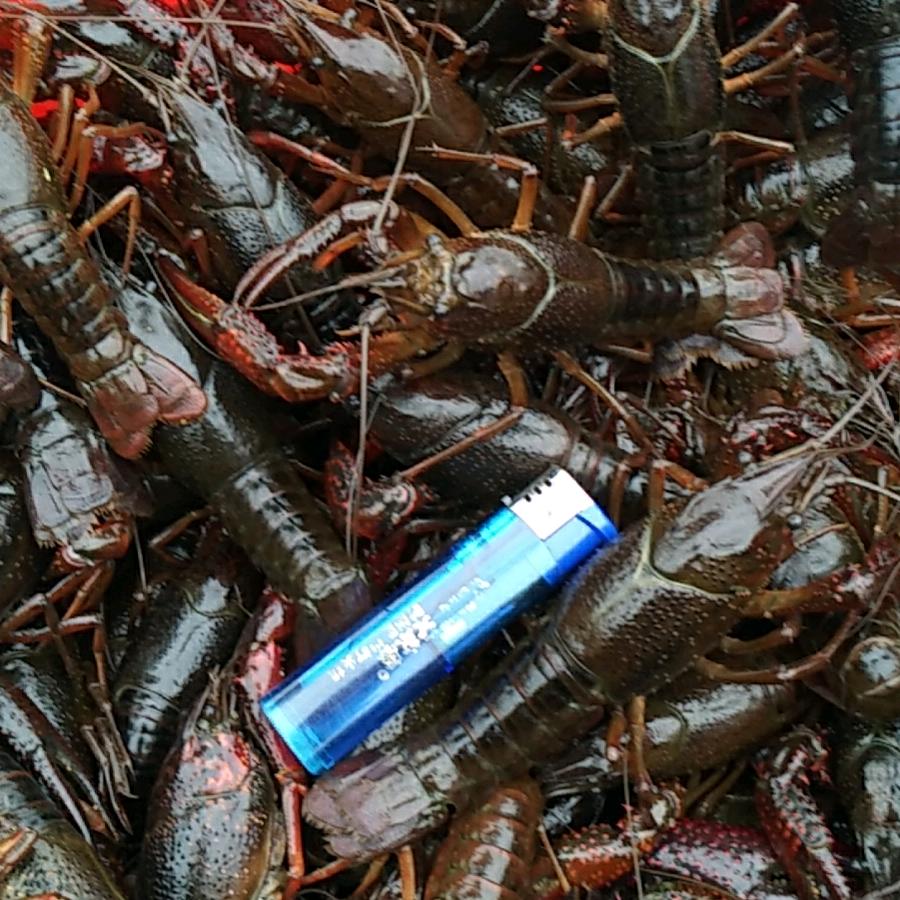 咸宁两把手水产