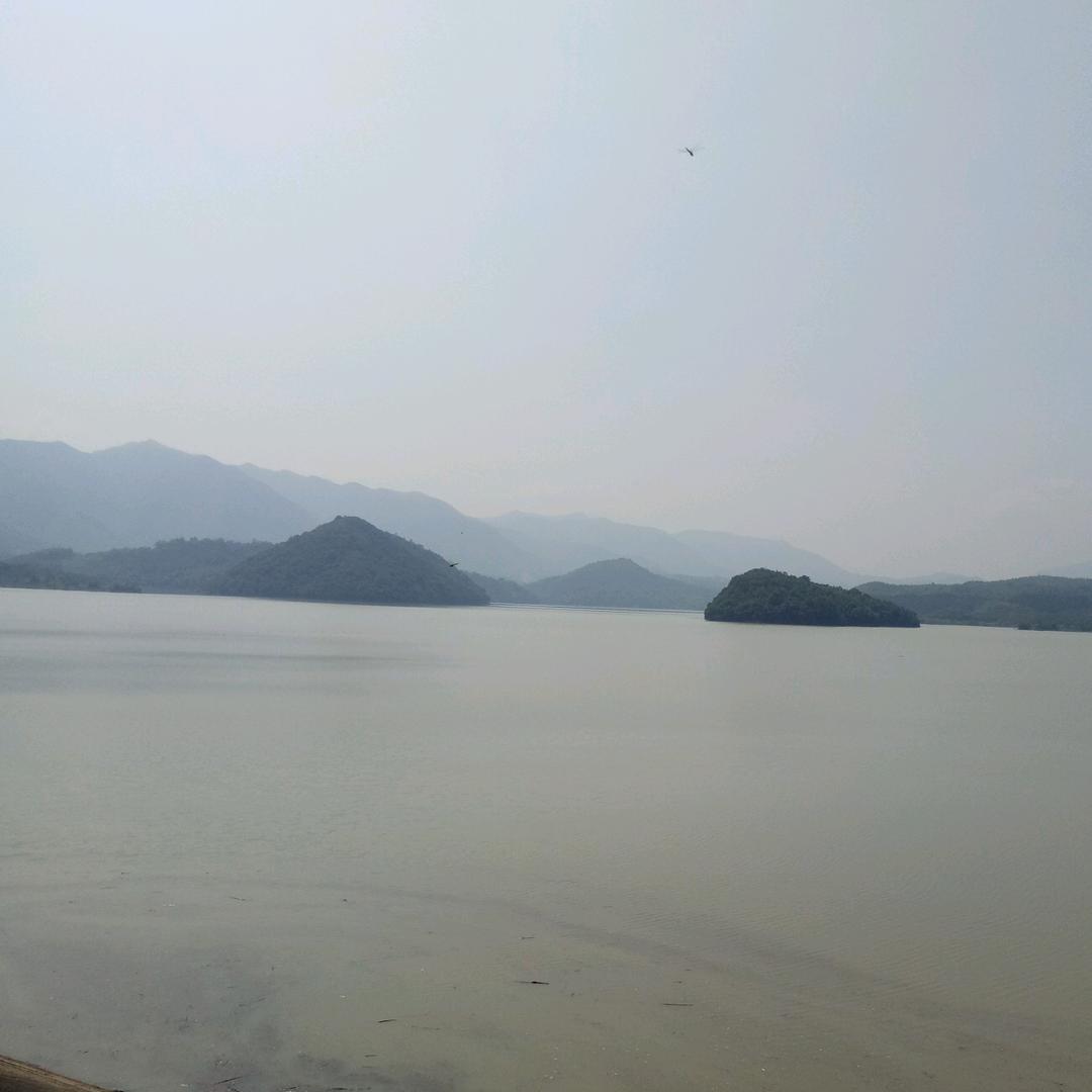 飞鑫(谈)