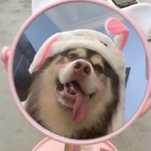 那个谁”
