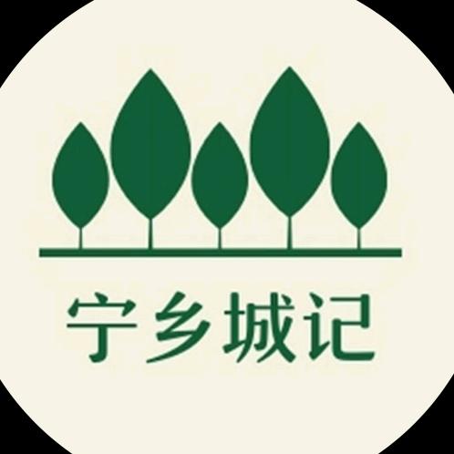 宁乡城记