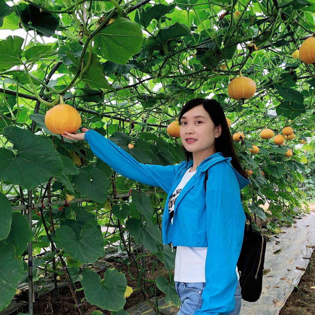 萍儿