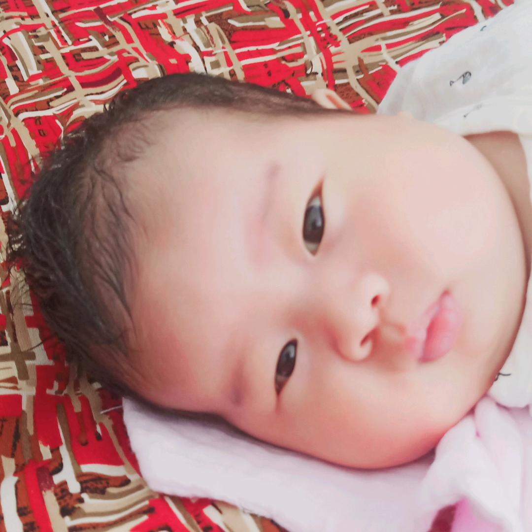 河北程彪起动机厂德国瓦斯特蓄电池