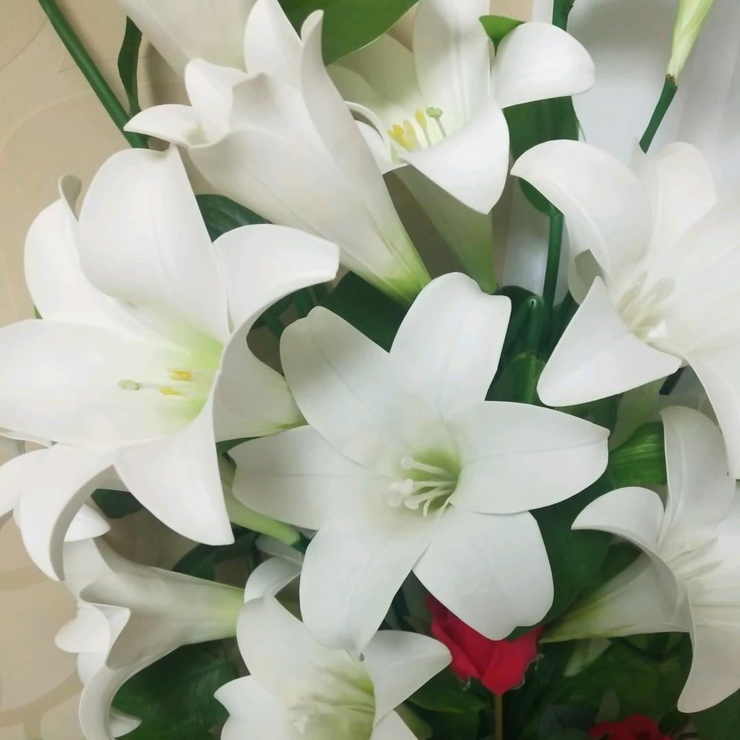 百合花
