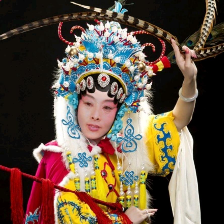 花开四季93507