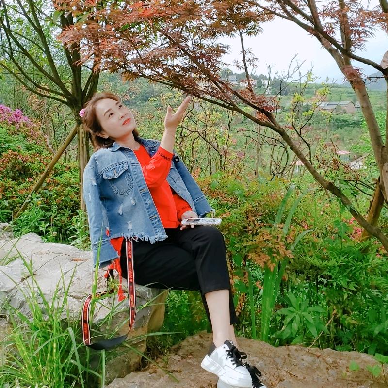 小燕子