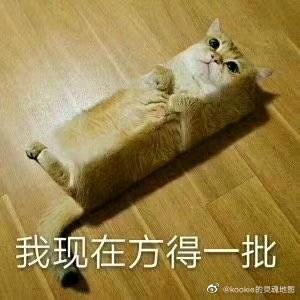 林黛玉醉打蒋门神